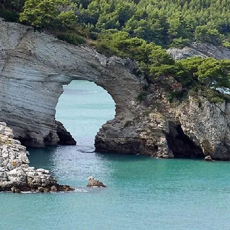 Дом отдыха Villavieste *